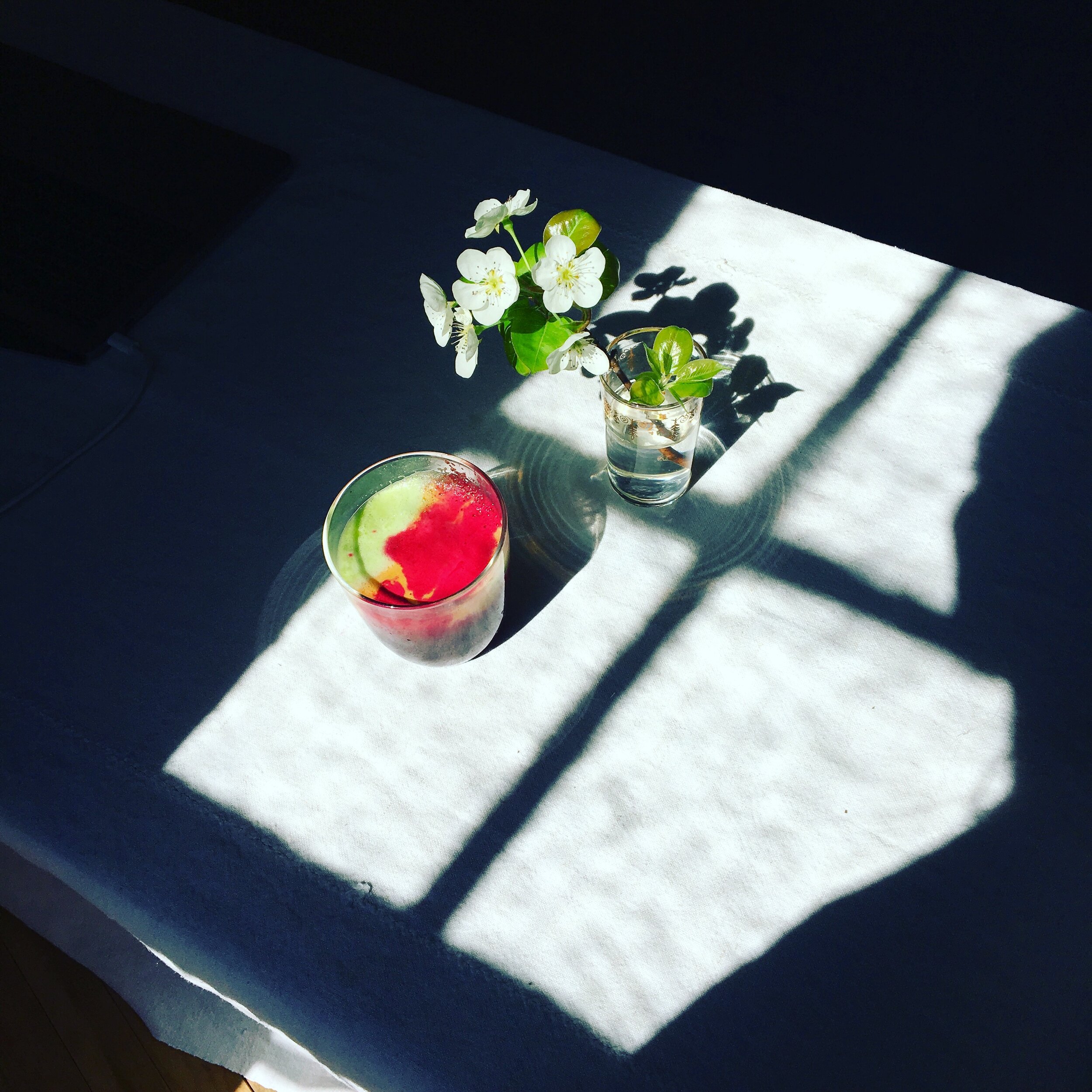 Still LifeSun streaming,new growth,small miracles,possibilities,stillness as a form of prayer.Basking in all things.