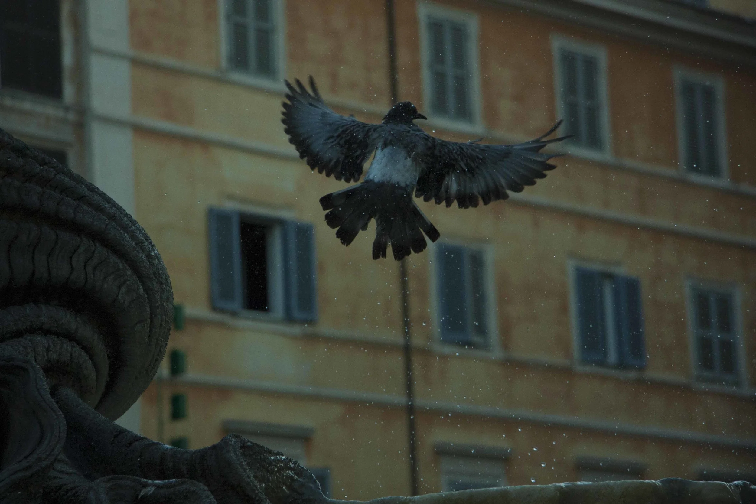 rome_portfolio_3.jpg