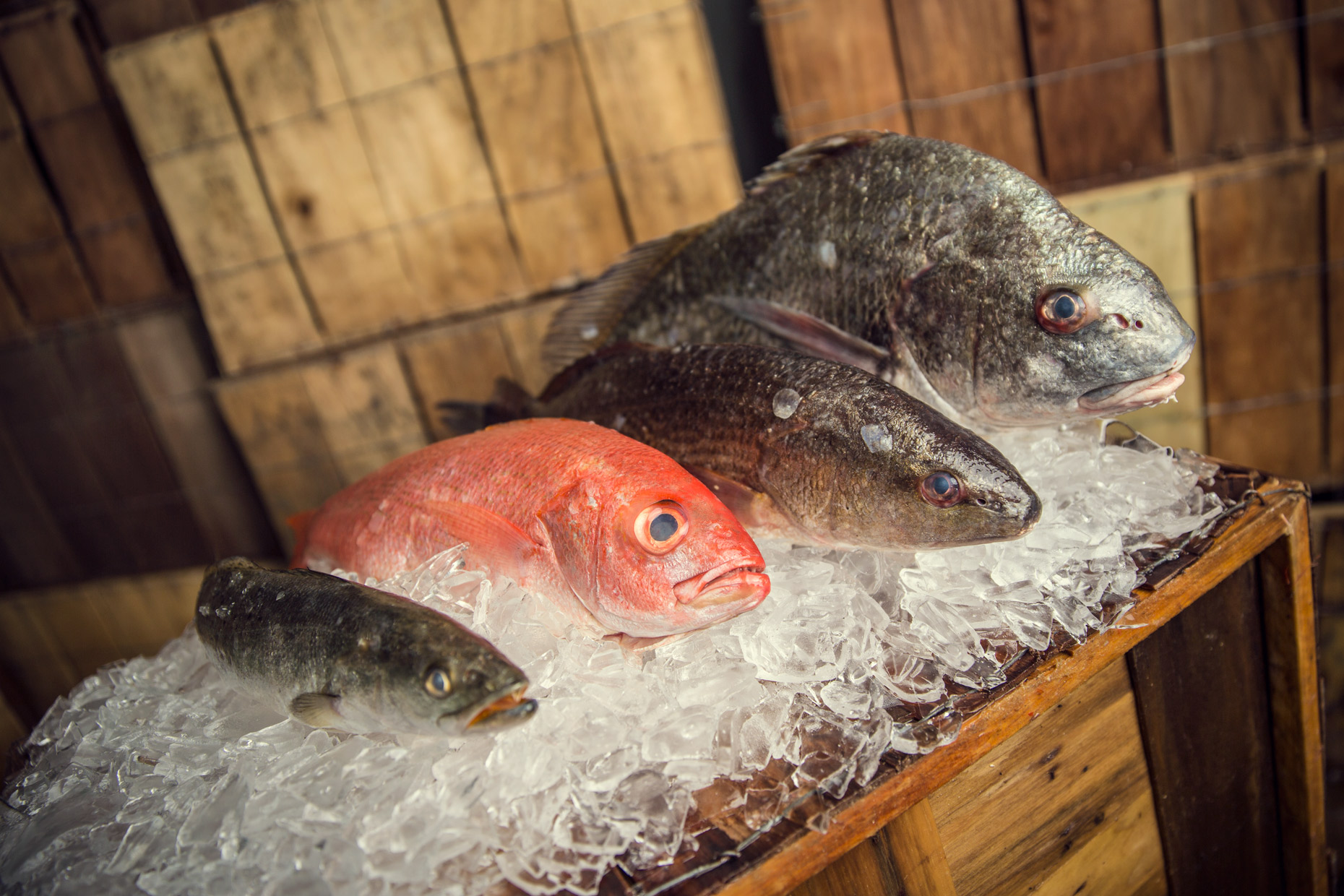 Southern Fish & Oyster - Mobile, AL