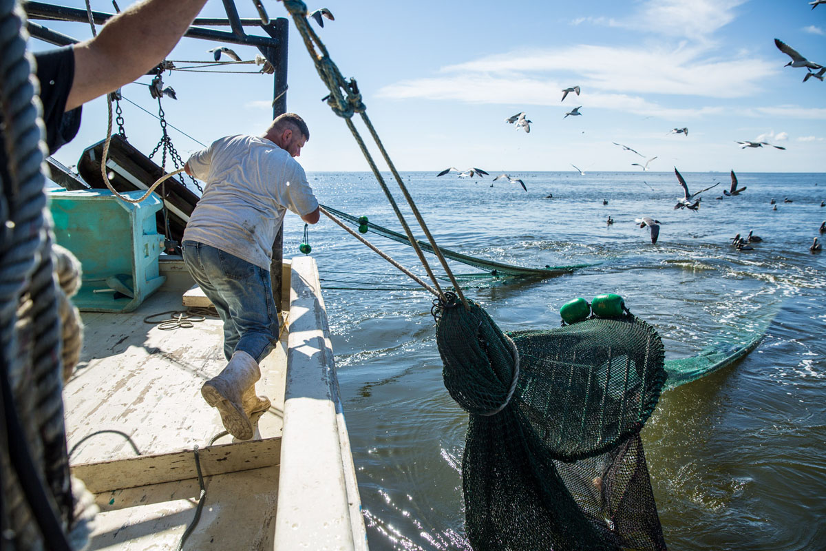 20170425-MBmag-Shrimpin-0714.jpg
