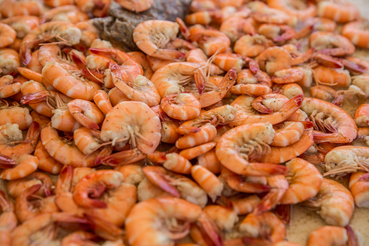 20170425-MBmag-Shrimpin-1047.jpg