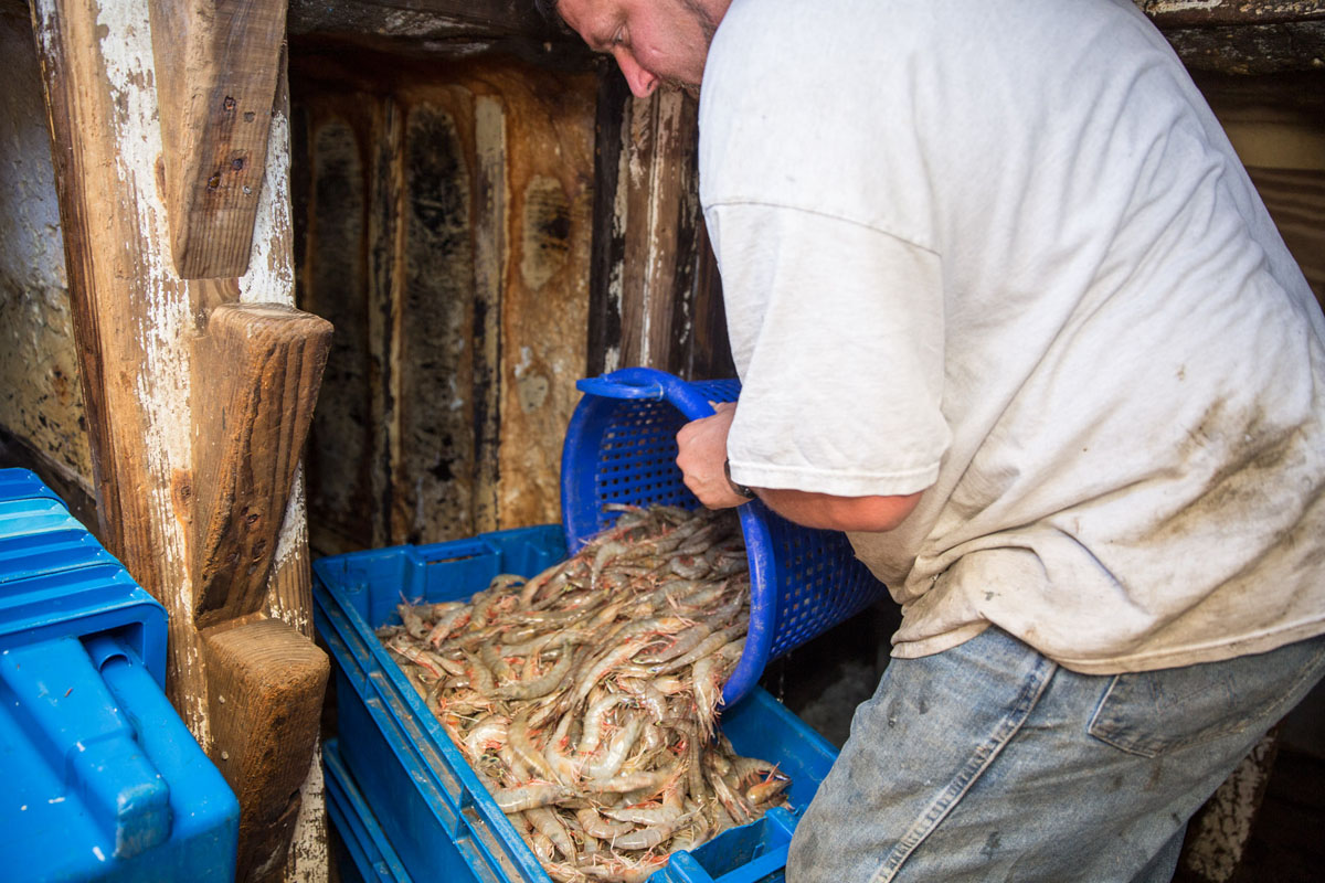 20170425-MBmag-Shrimpin-1329.jpg