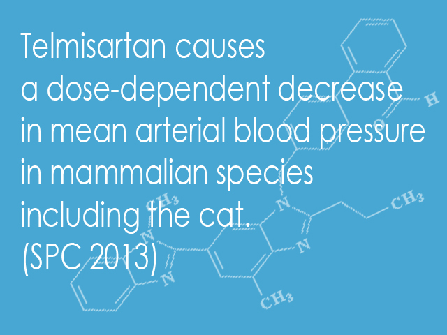 What-is-Telmisartan-02.jpg