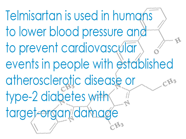 What-is-Telmisartan-03.jpg