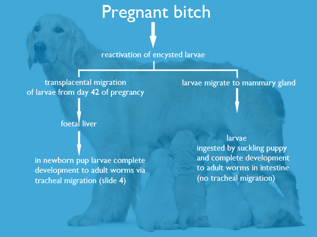 slide-07.jpg