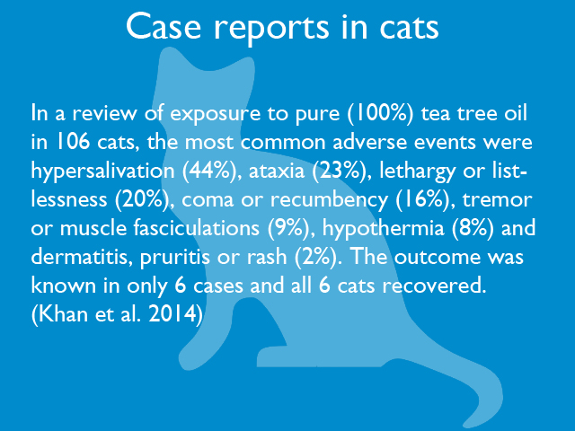 case-reports-in-cats-01.jpg