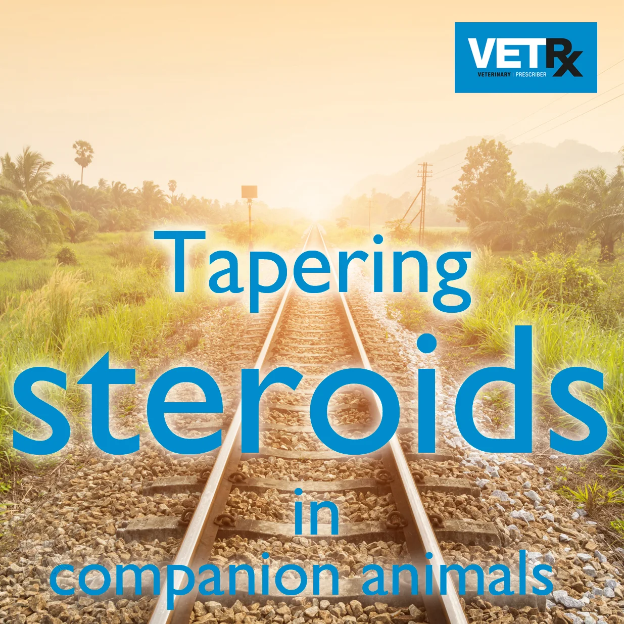 tapering-steroids-summary-block.jpg