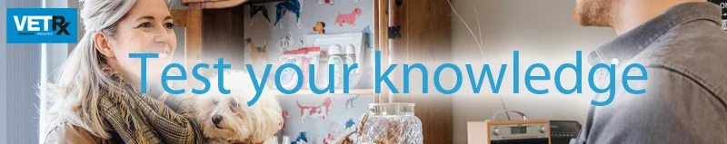 What-pet-owners-need-to-know-about-medicines-test-your-knowledge.jpg