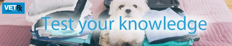Taking-pets-abroad-test-your-knowledge-banner.jpg