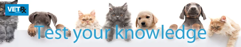 which-NSAID-test-your-knowledge.jpg