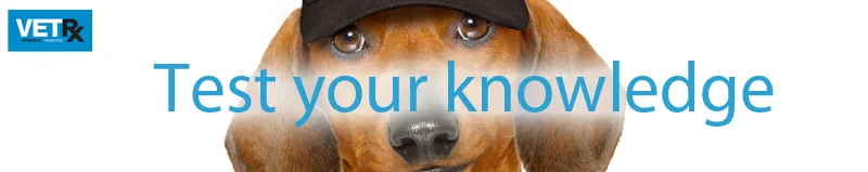 imported-pets-test-your-knowledge-banner.jpg