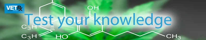 CBD-test-your-knowledge.jpg