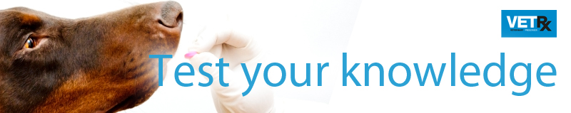 C-_Users_cloud_Dropbox_VP-artwork_Articles-2019_Paracetamol_paracetamol-test-your-knowledge.jpg