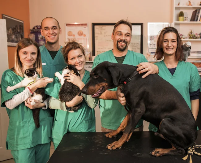Group-of-happy-veterinarians-with-animals-at-vet's-office-crop-resized.jpg