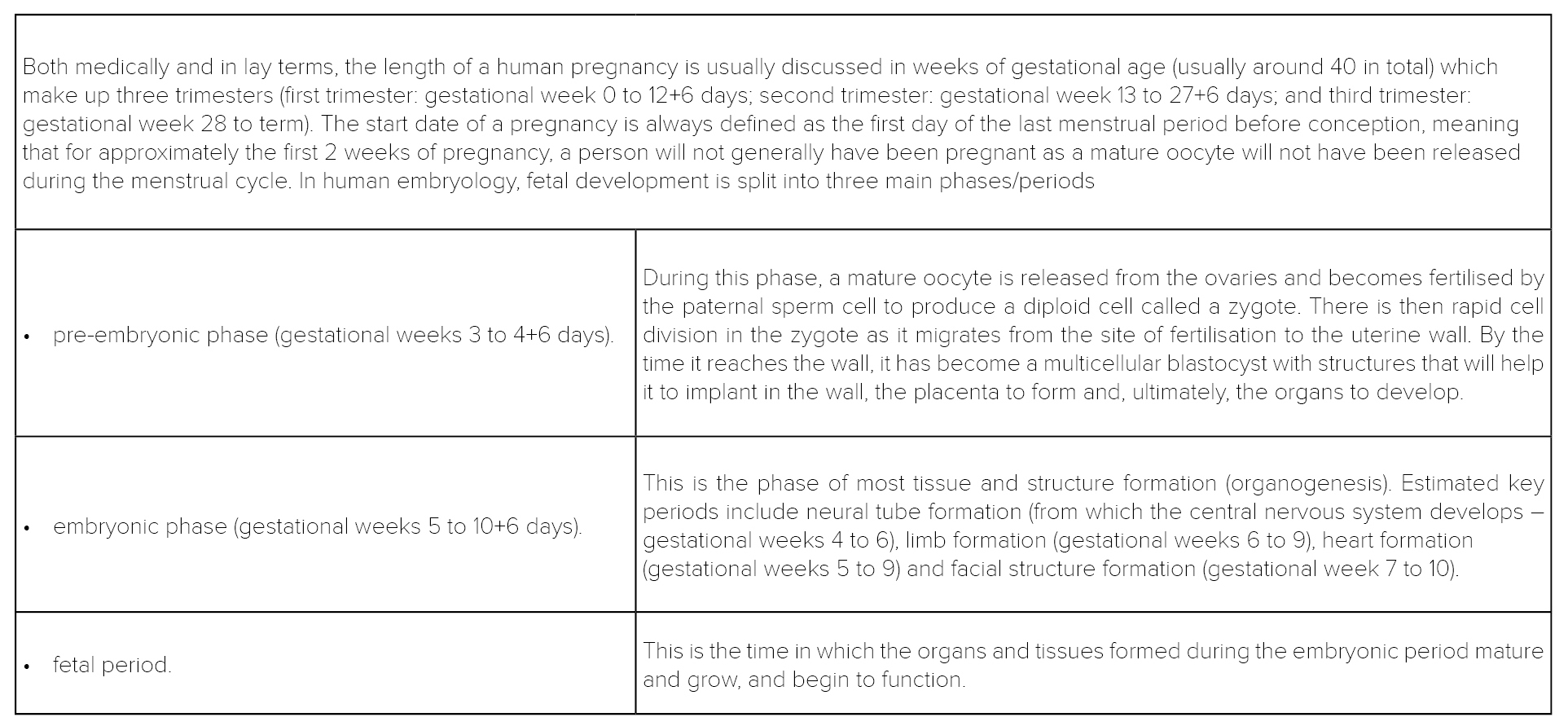 Table the phases of fetal development in human pregnancy