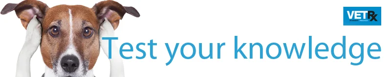 imepitoin-test-your-knowledge.jpg