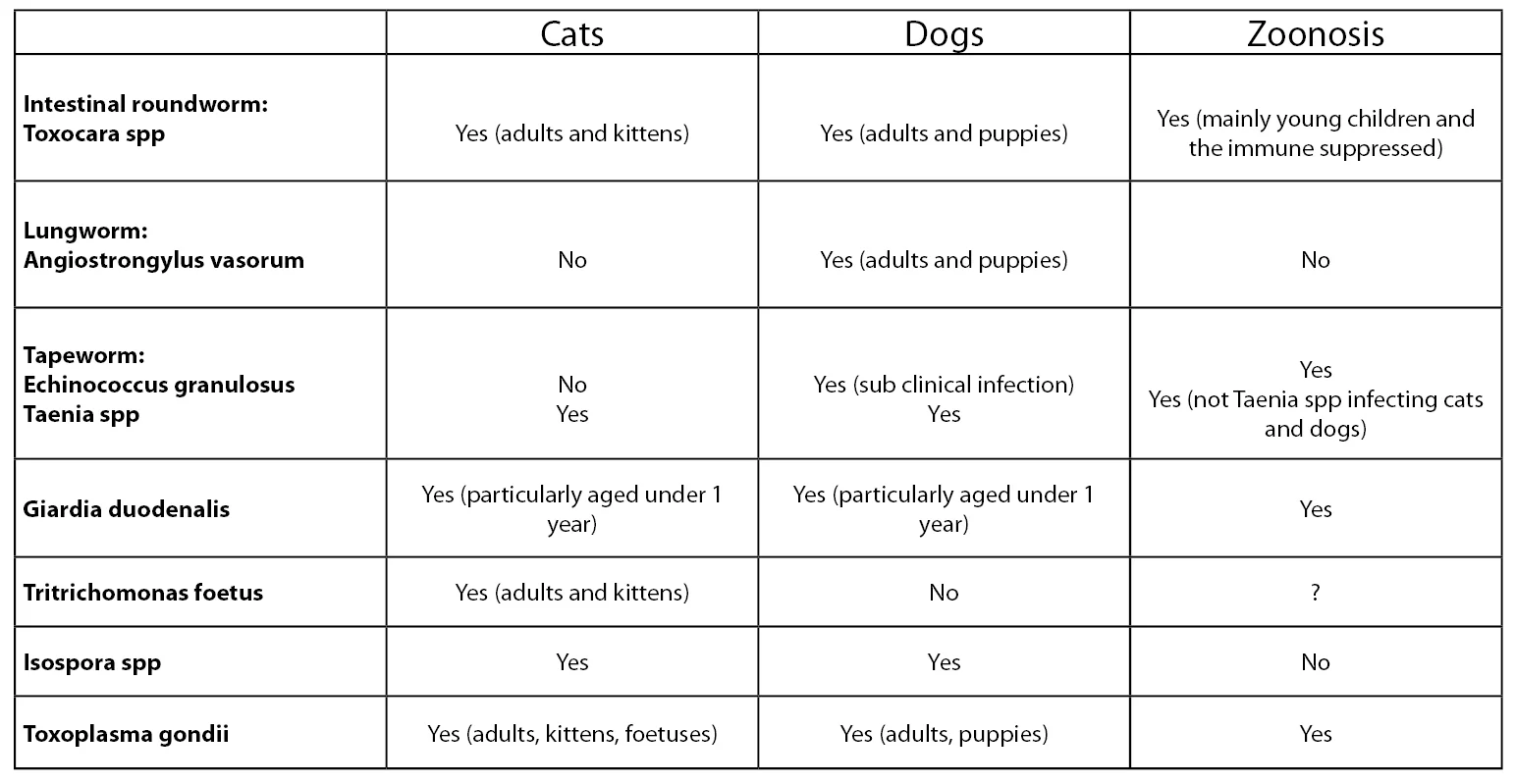 Table Summary of common endoparasites and who they affect