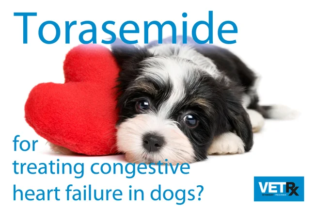 ototopical drops for dogs