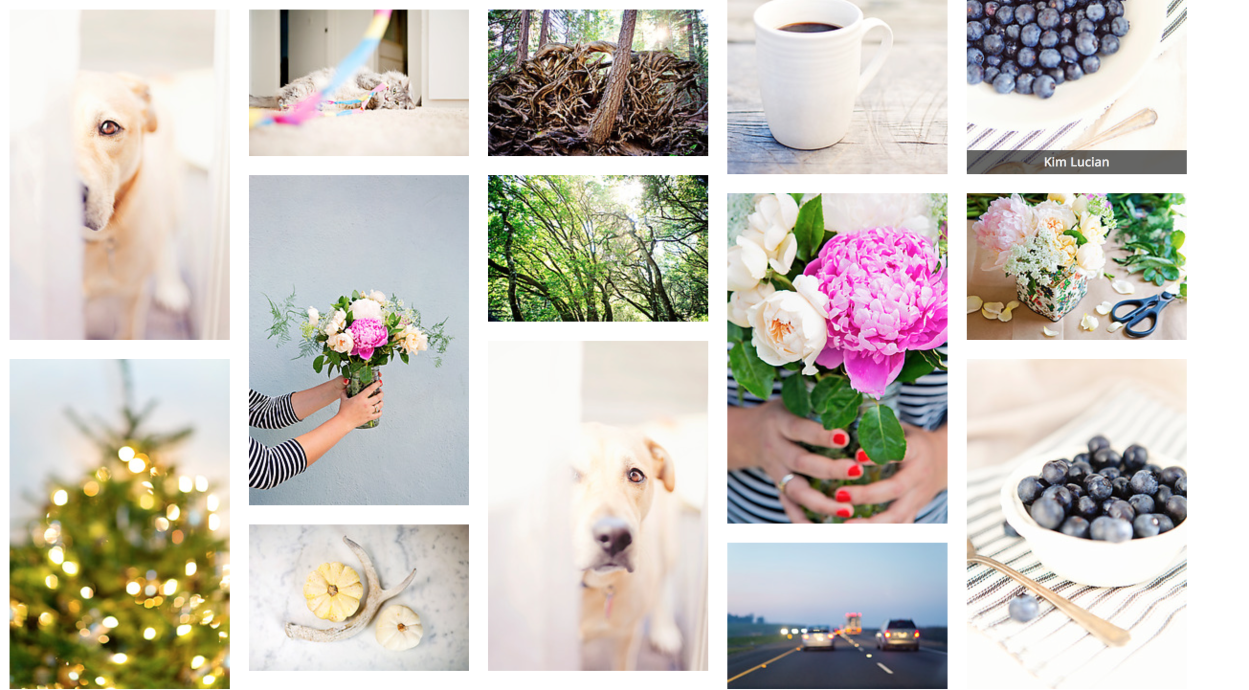 Images by Kim Lucian available exclusively through Stocksy
