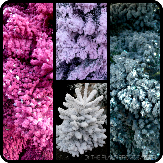 |The Flavors Of Flocking|
