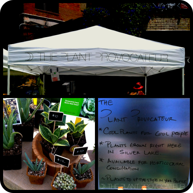 |TPP at the Silver Lake Farmer's Market|