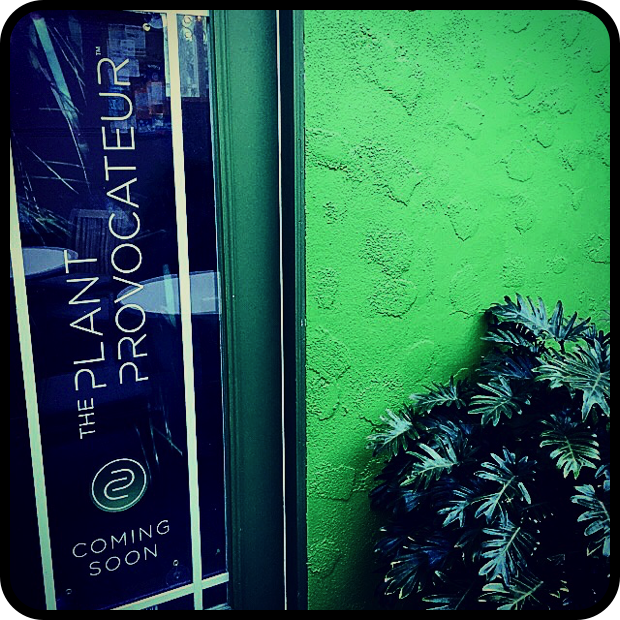 |The New Shop |