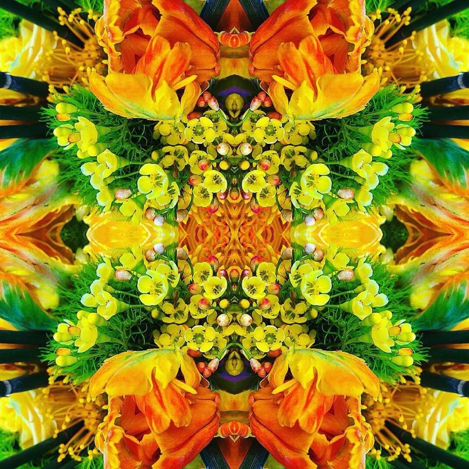 22490142_1448765105252257_306462584796520870_n.jpg