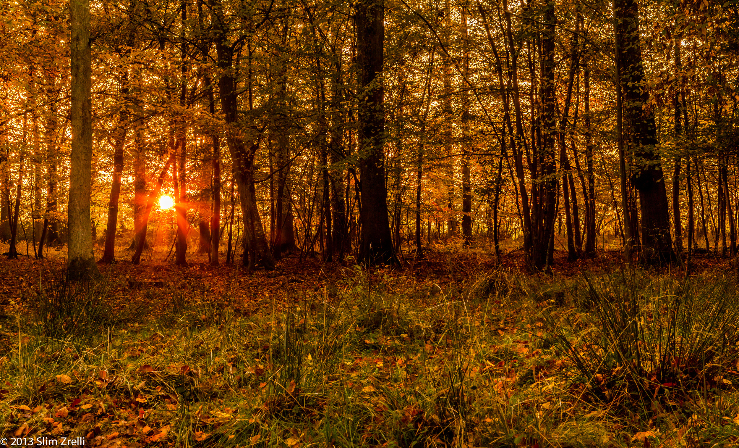 Fall Sunset.jpg