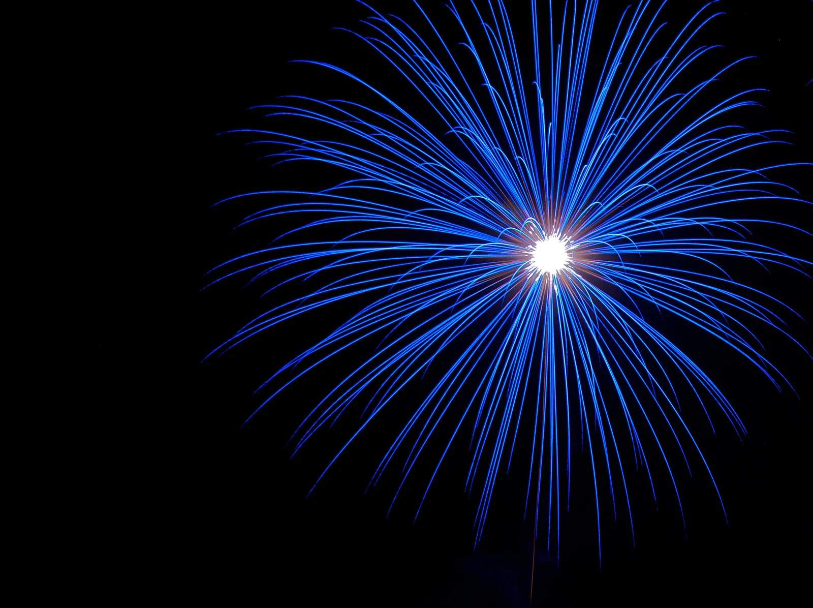 Fireworks 4.jpg