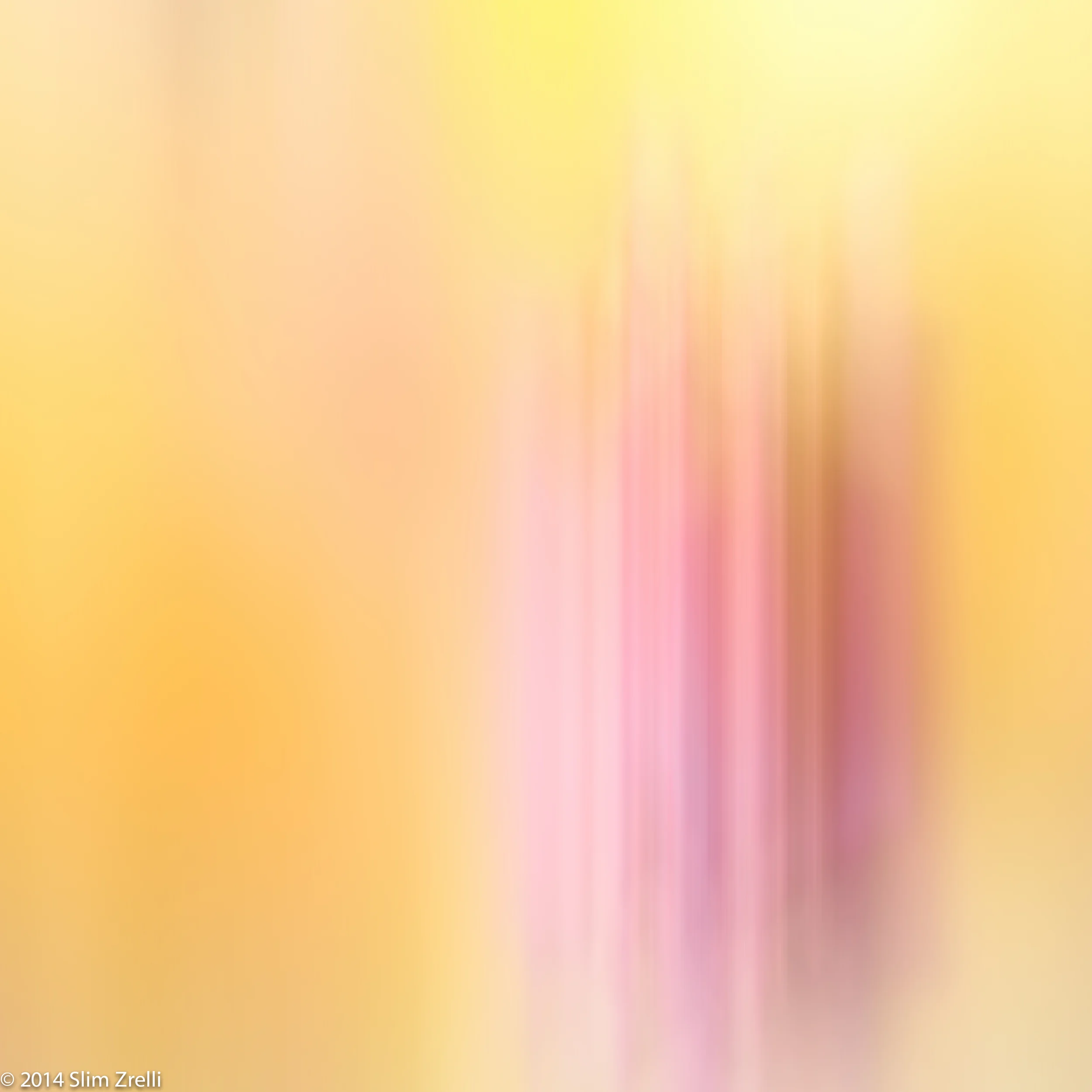 Pastel mix