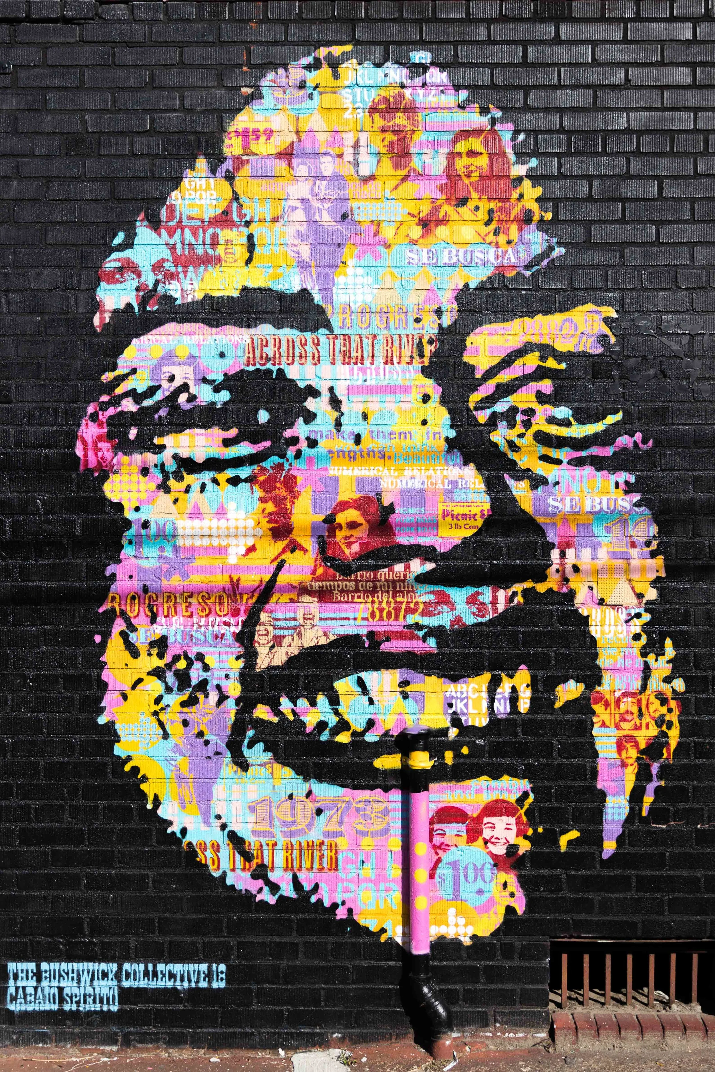 BUSHWICK FACE Website.jpg