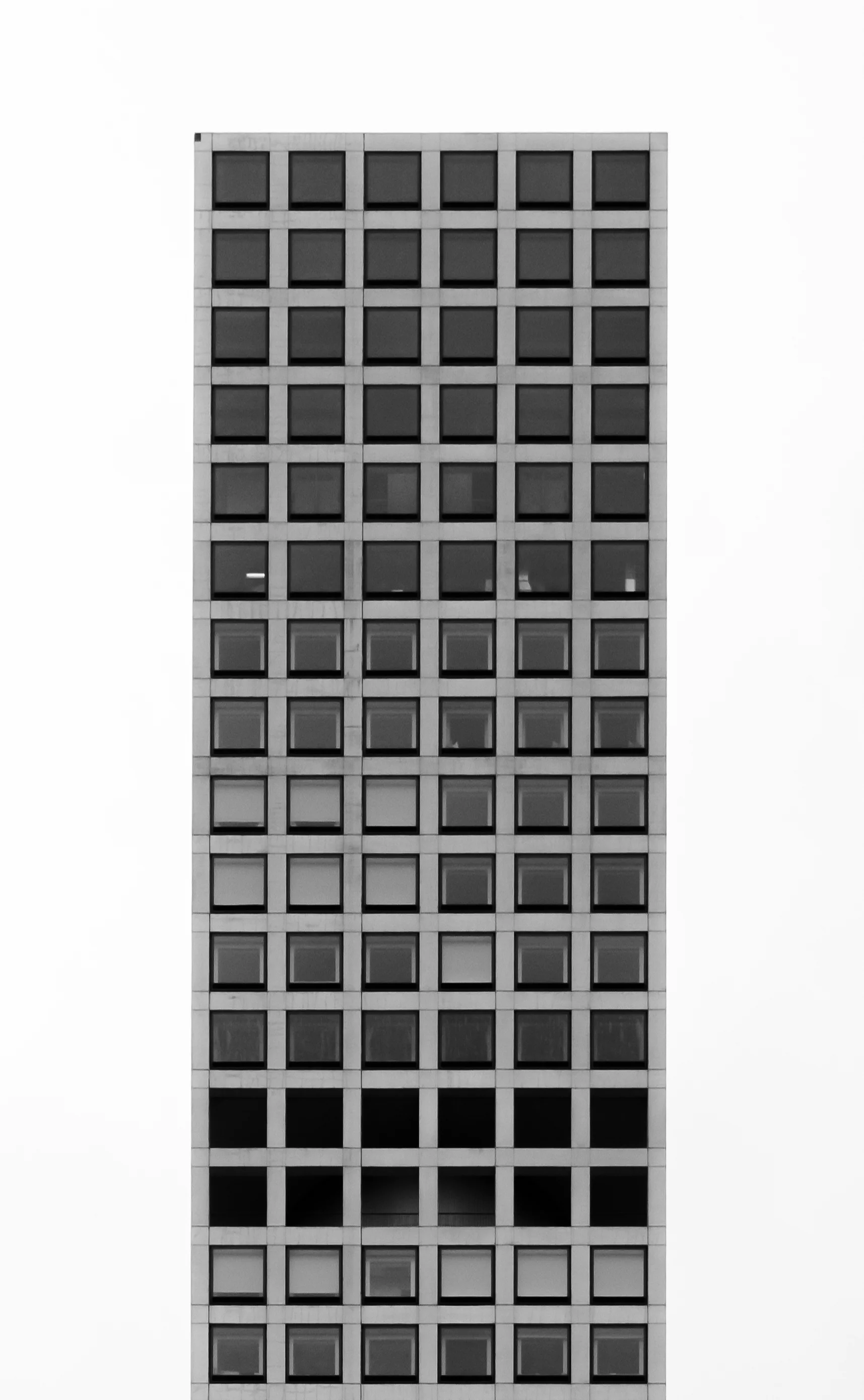 TETRIS Website.jpg