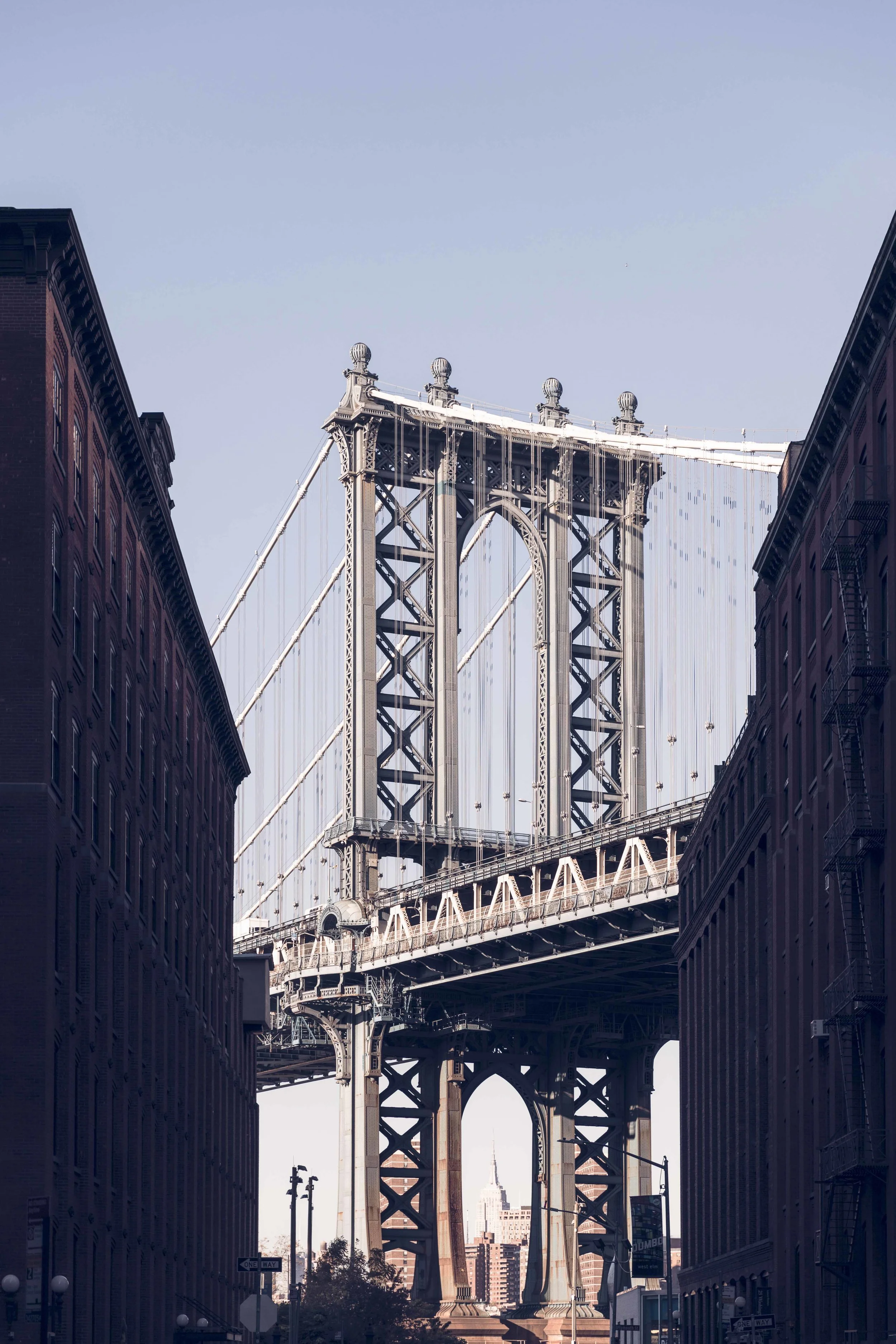 DUMBO Website.jpg