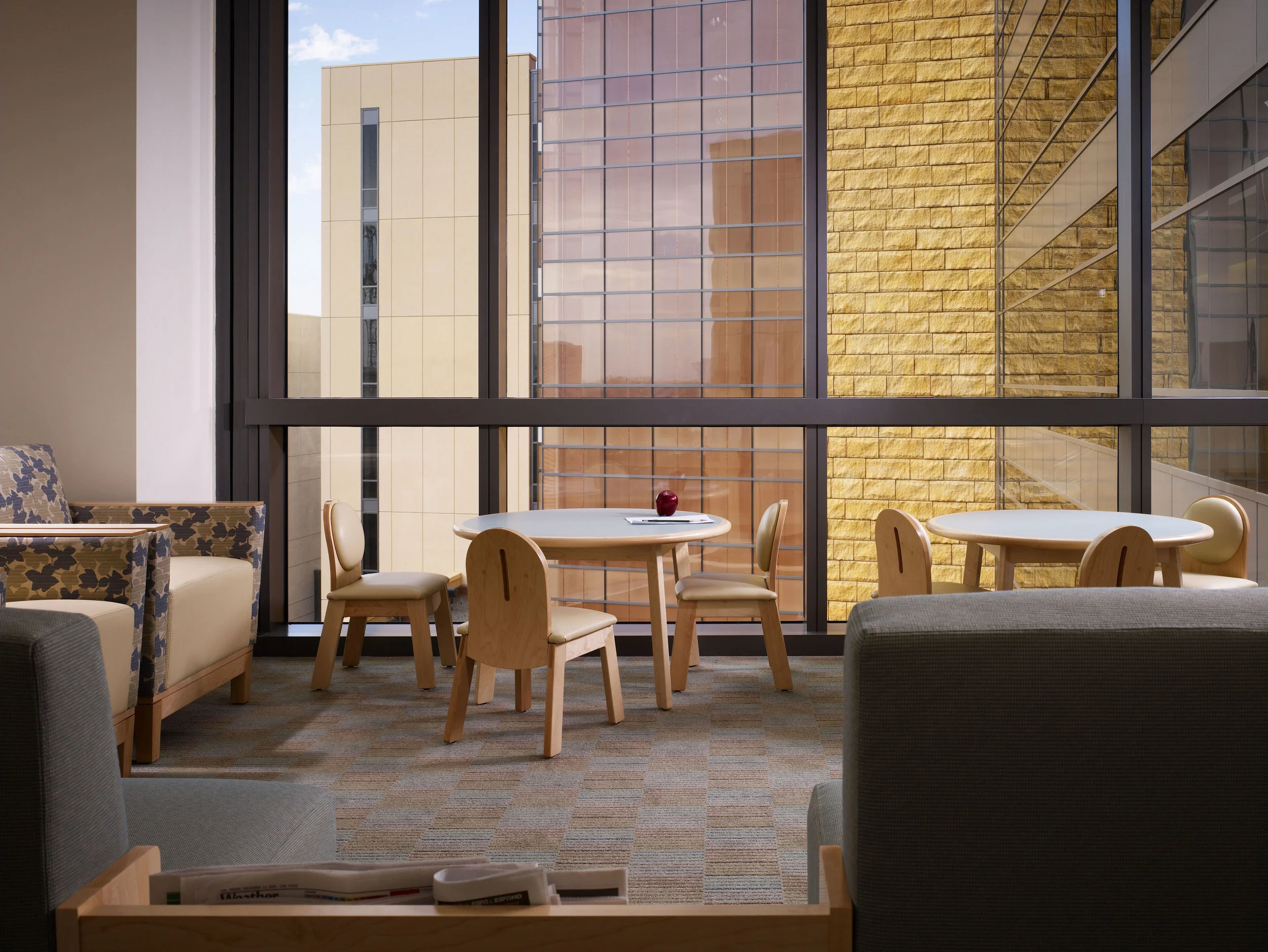 UCIrvine Douglas Hospital Interior - Waiting Room 03.jpg