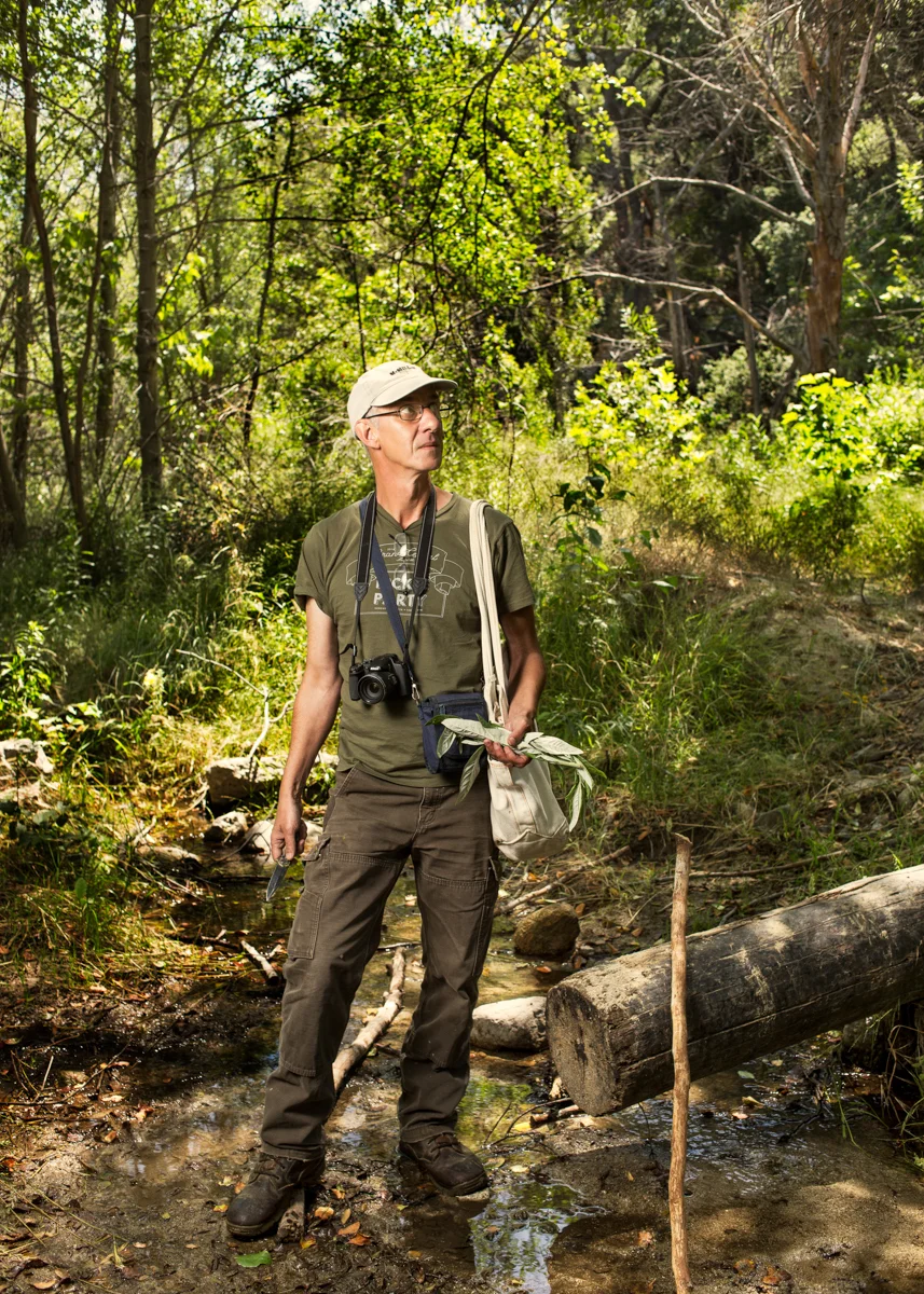 Pascal Baudar/Forager