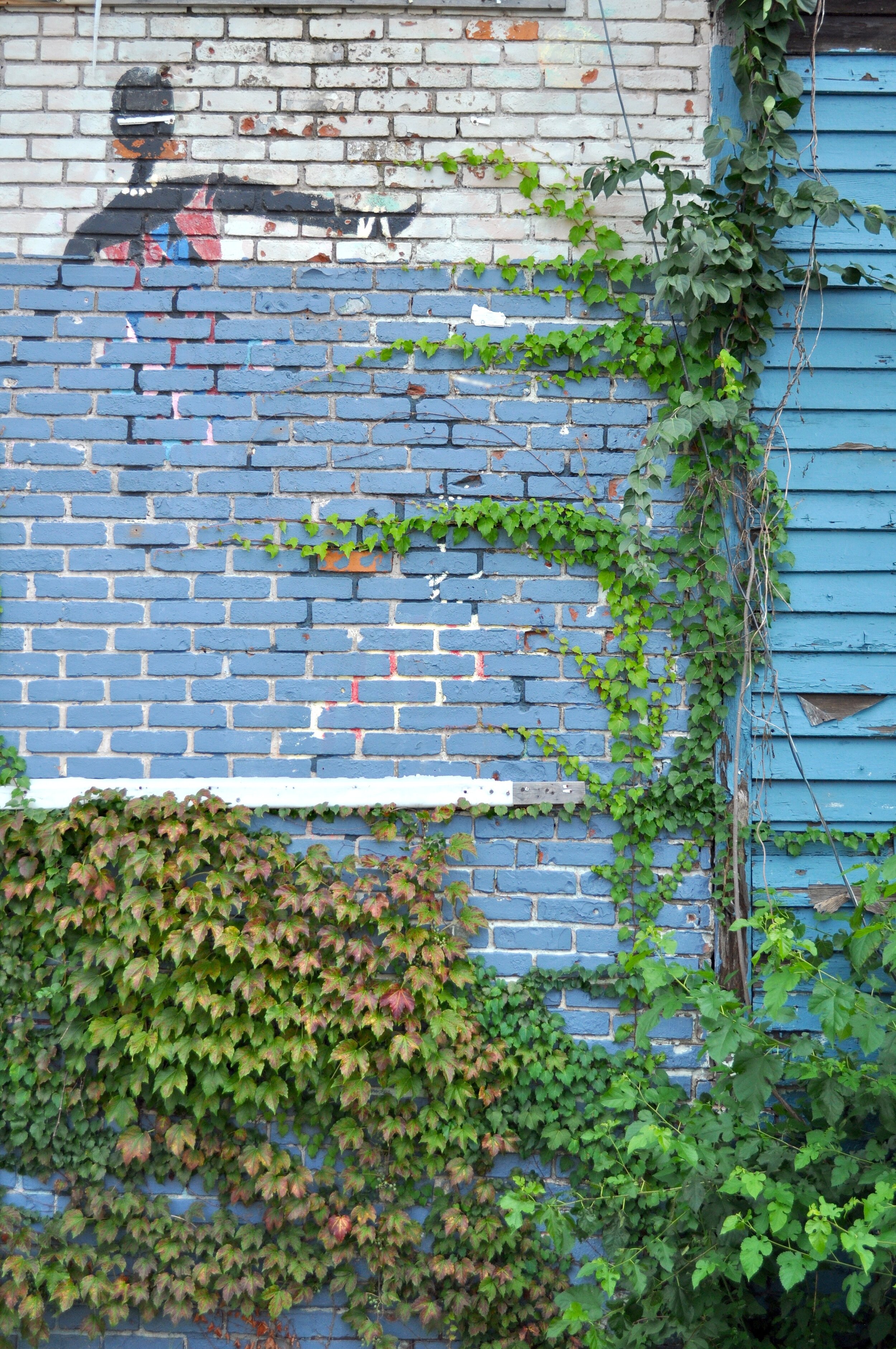 Vine Dancer - Waterbury, Connecticut (2018)