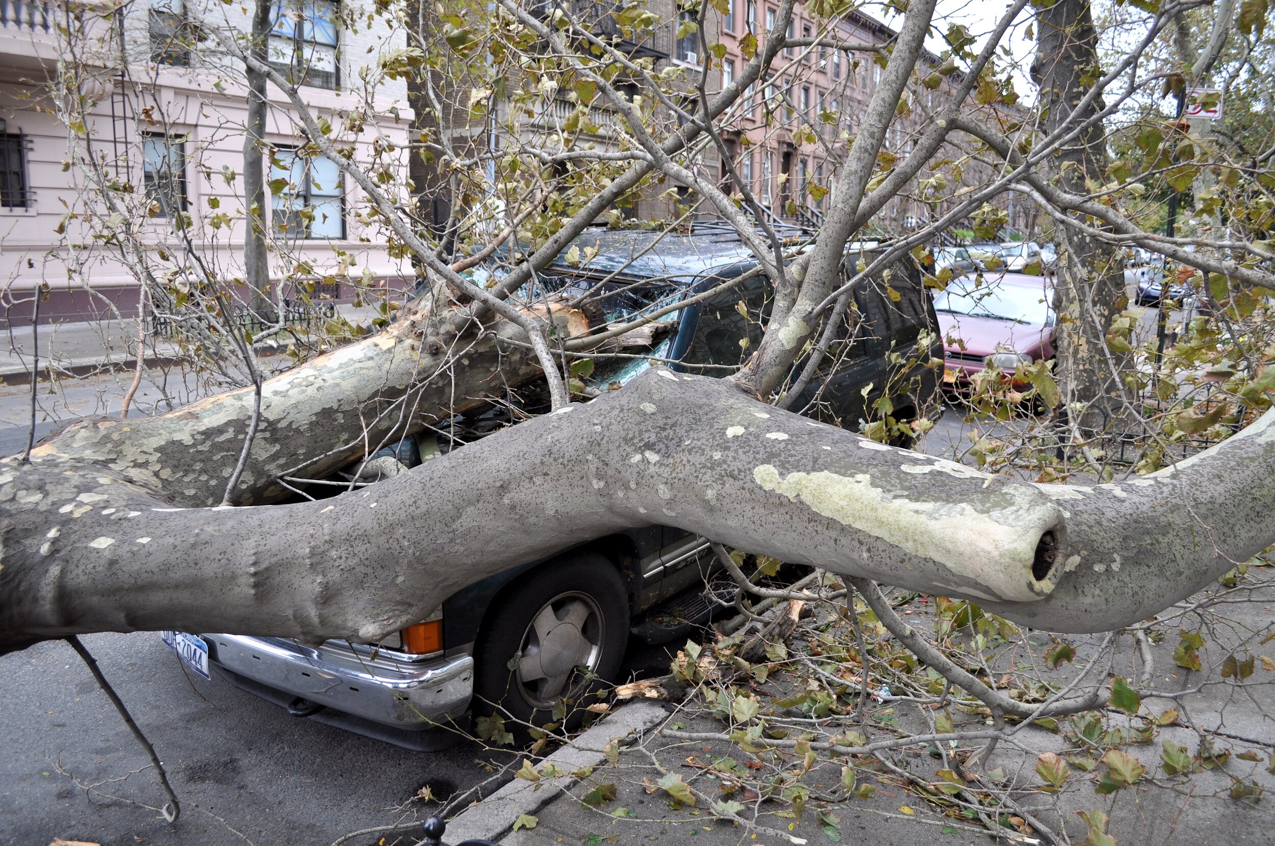 Hood Ornament - Brooklyn, New York (2012)