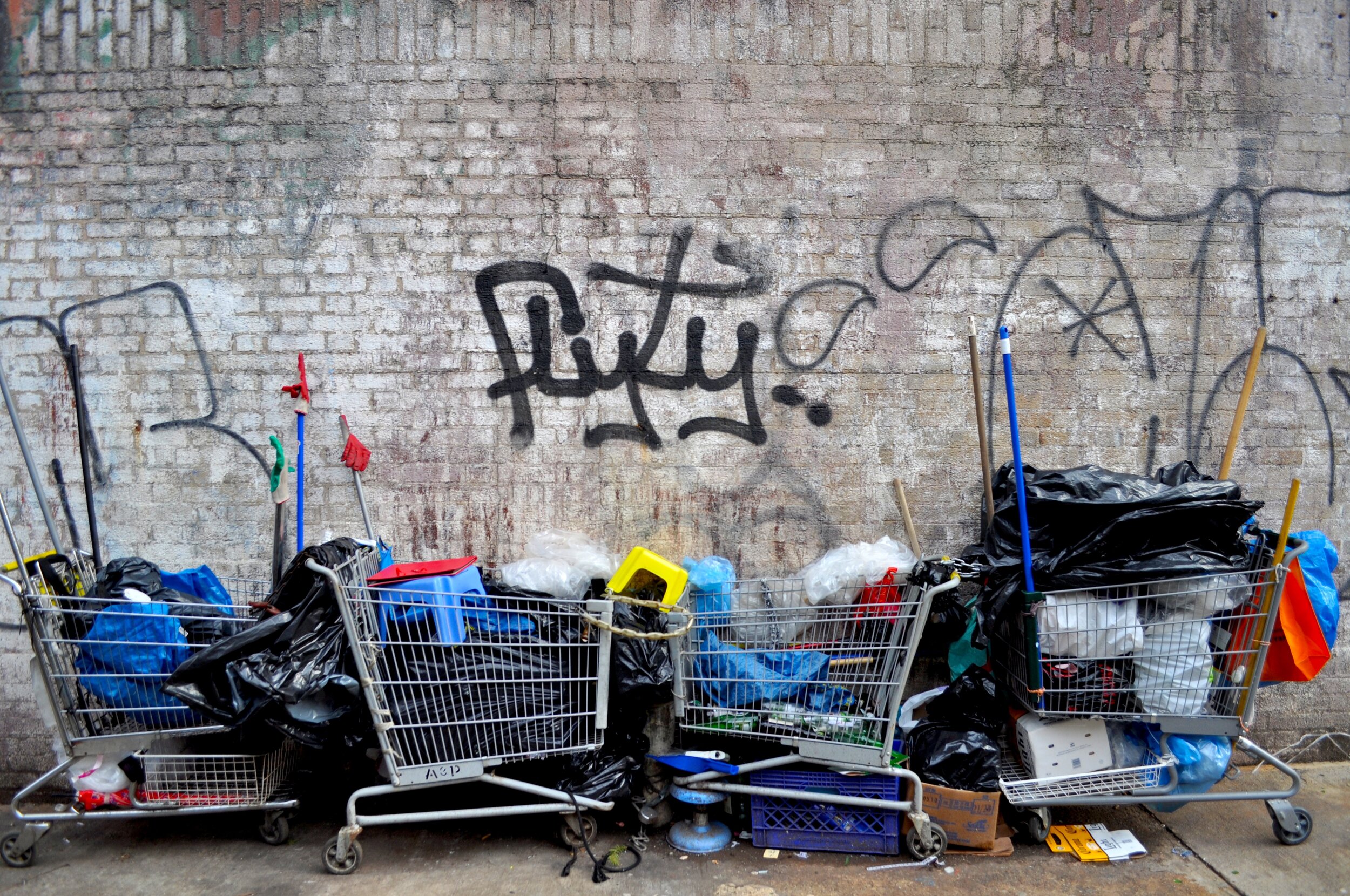 Lower East Side Carts - Manhattan, New York (2012)