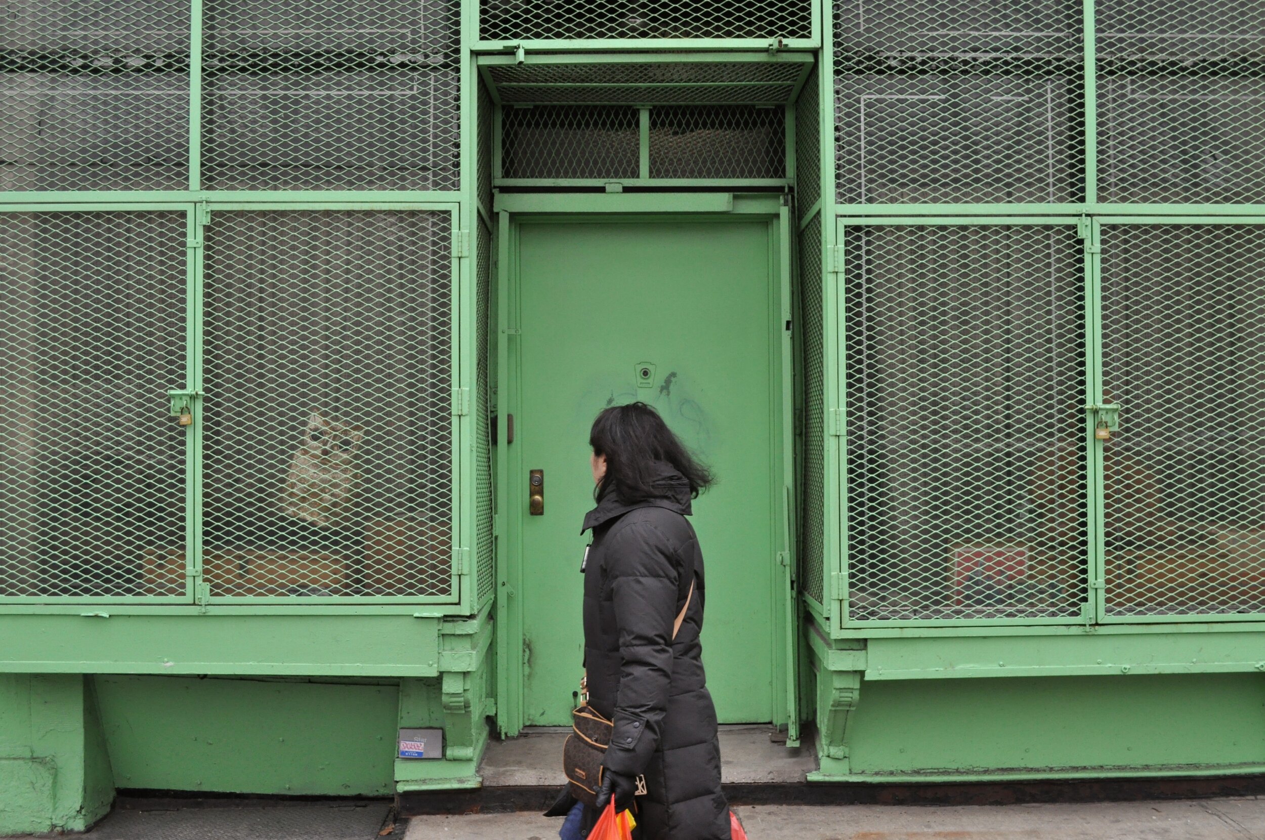 Window Owl - Manhattan, New York (2015)