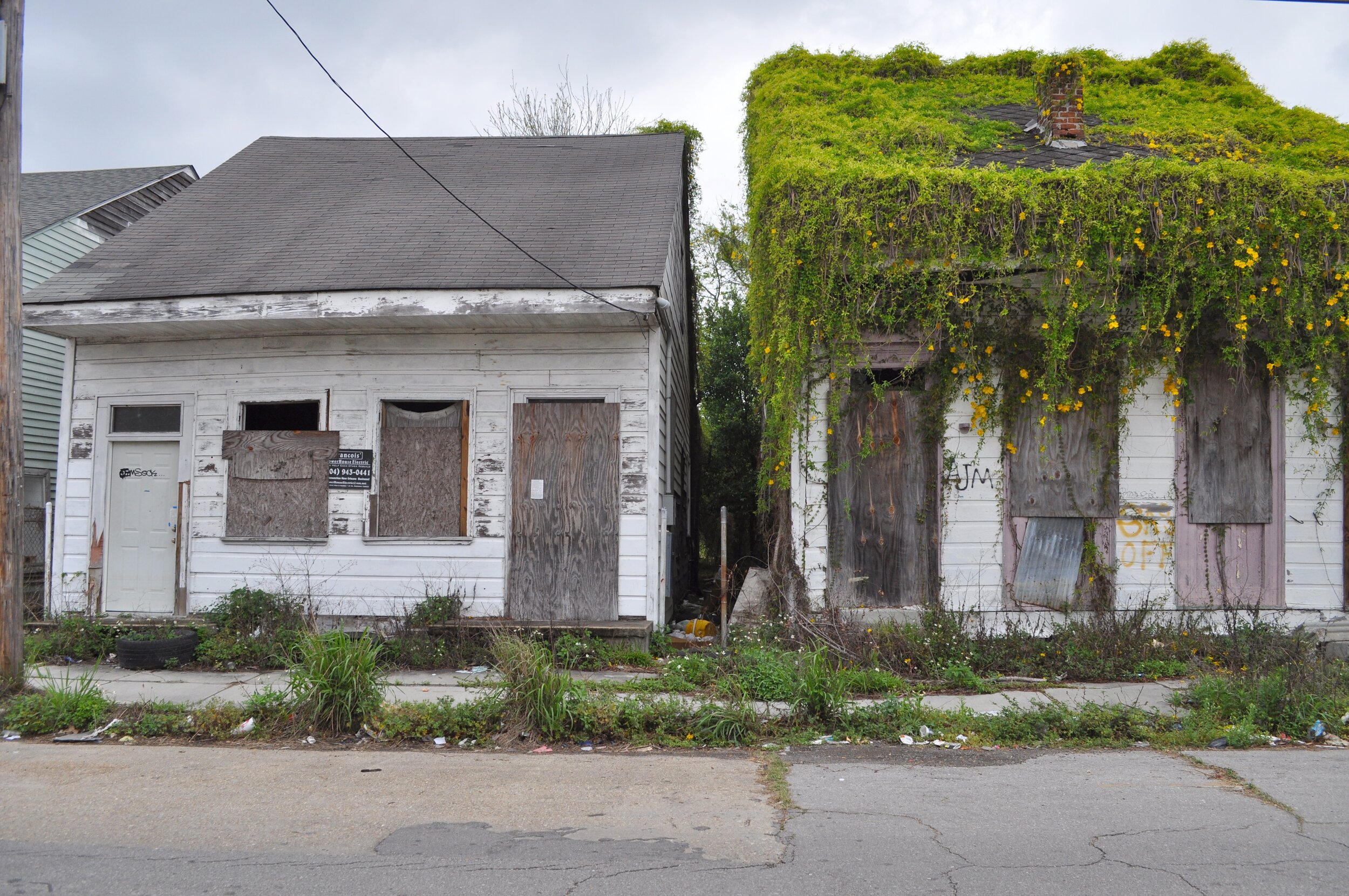 Living Roof - New Orleans, Louisiana (2015)