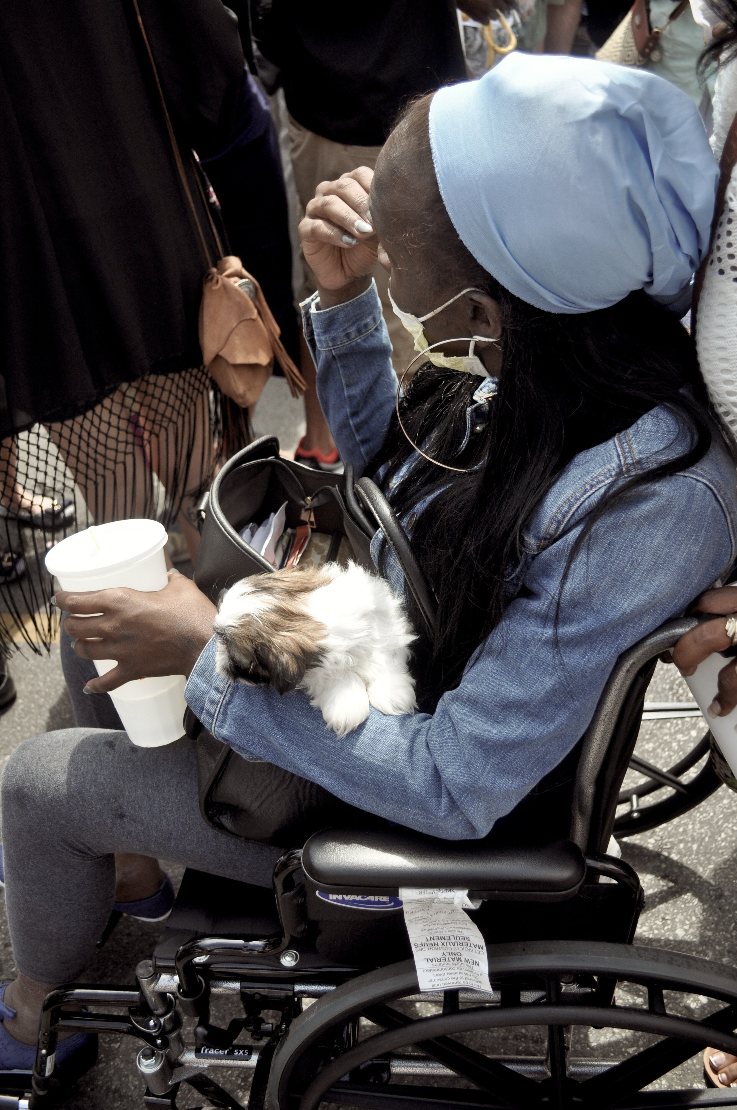 Wheelchair Dog - New Orleans, Louisiana (2015)