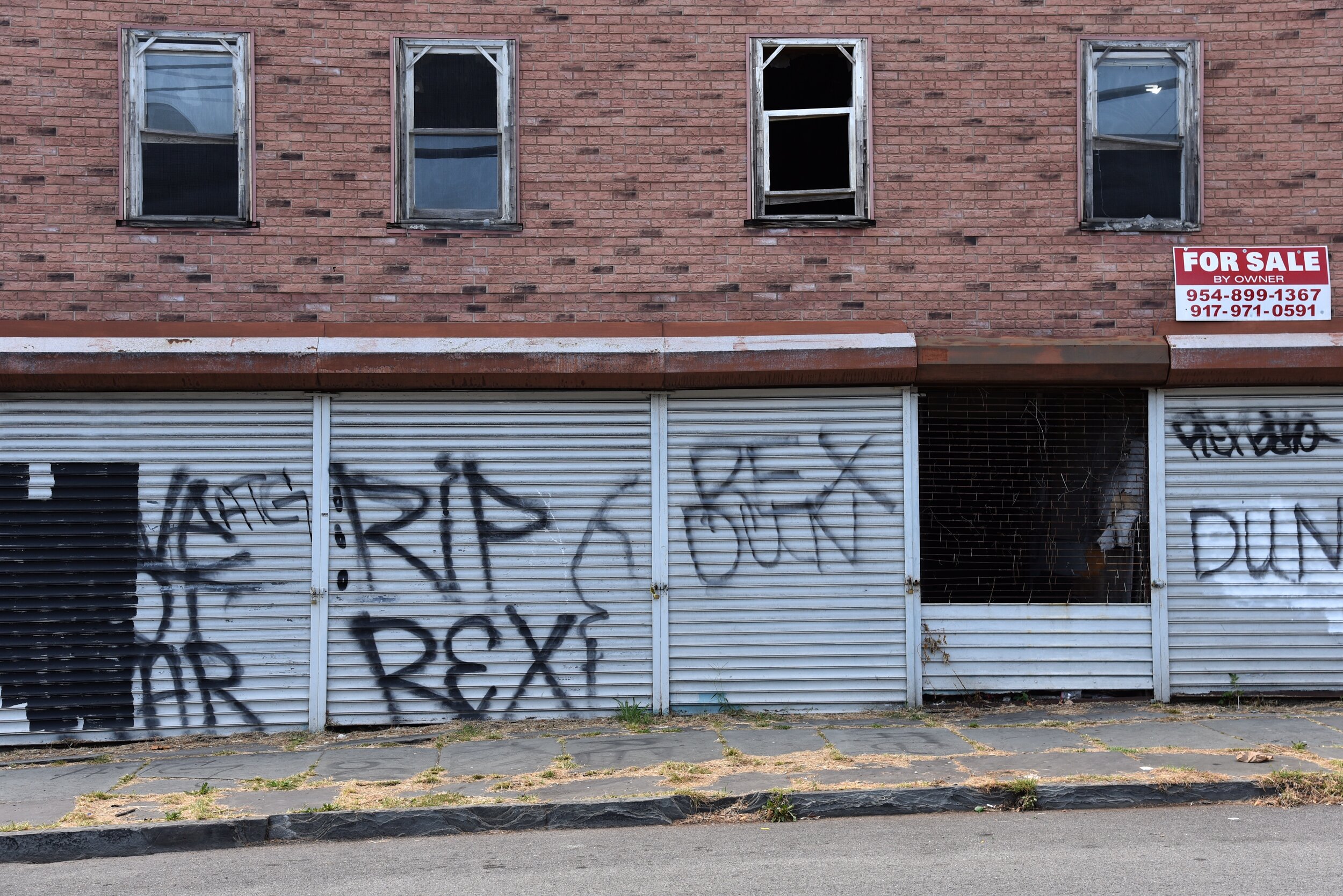 2020 RIP Rex - Newburgh NY T.JPG