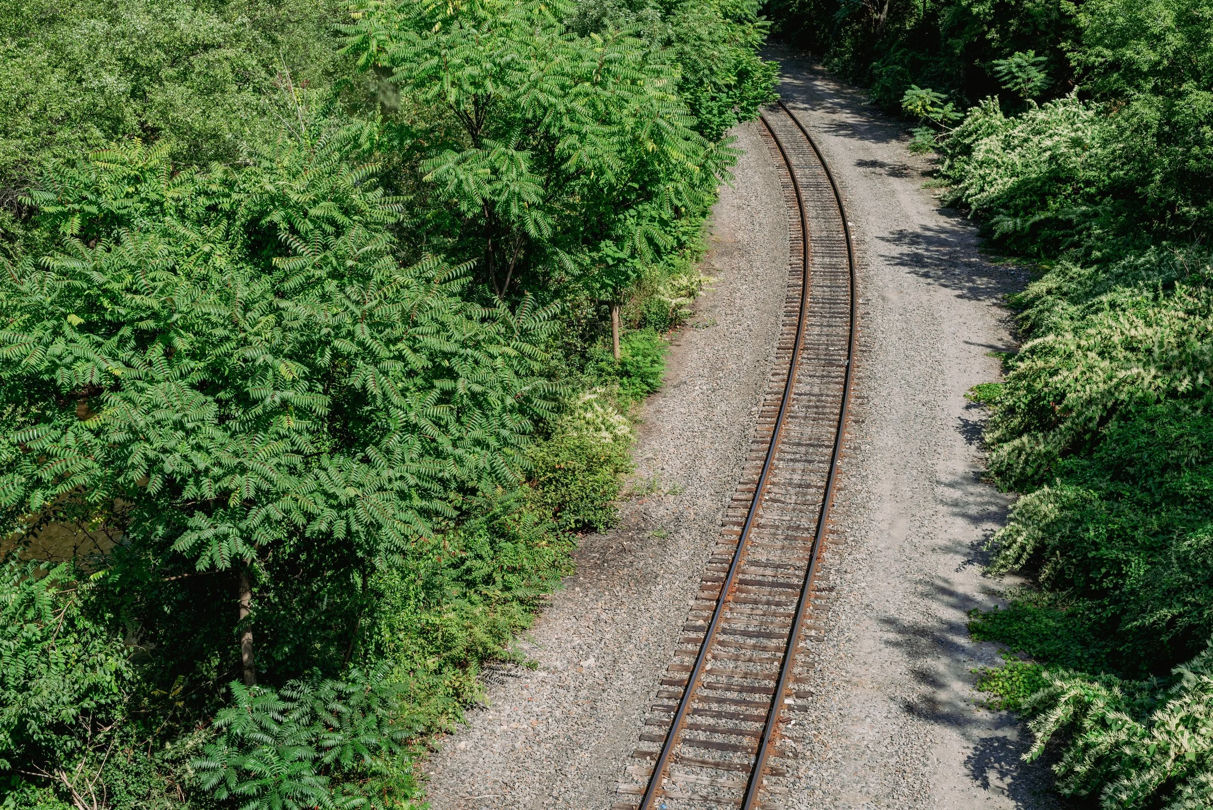 2024 Train Tracks - Scranton PA L.jpg