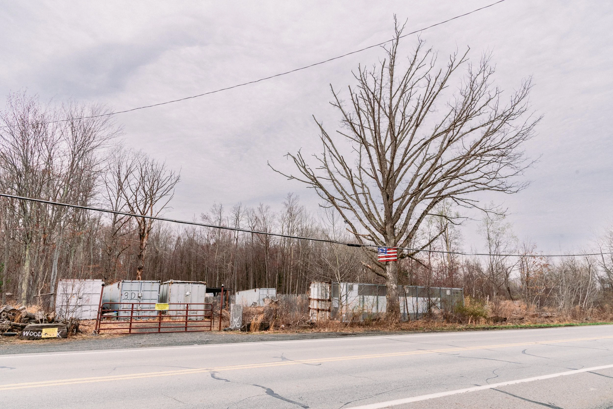 2025 Flag Tree 1 - Archbald PA L.jpg