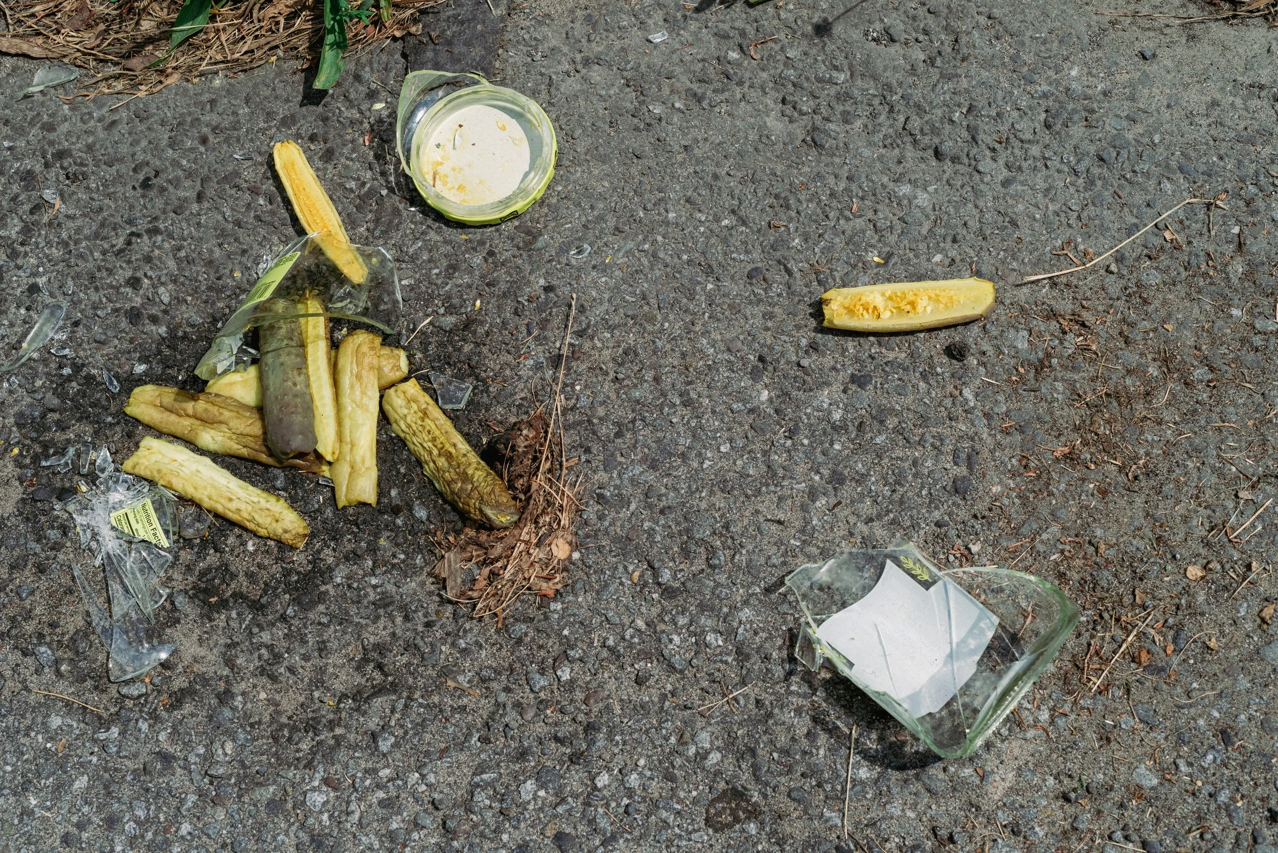 2025 Smashed Pickle Jar 2 - Scranton PA L.jpg