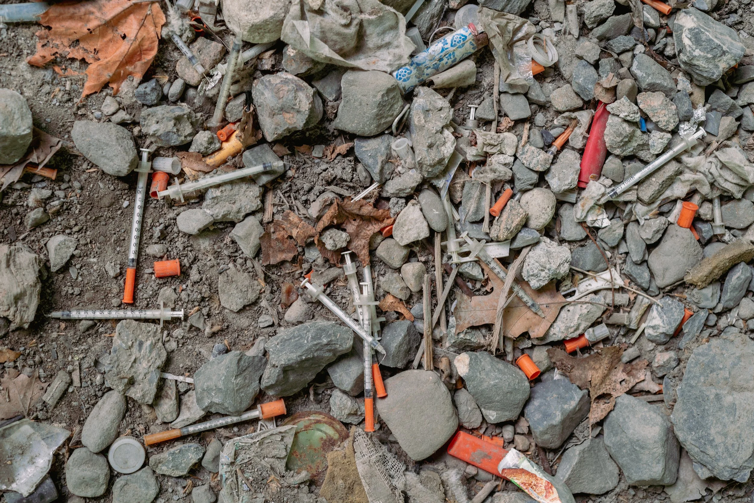 2025 Ground Needles 5 - Newburgh NY L.jpg