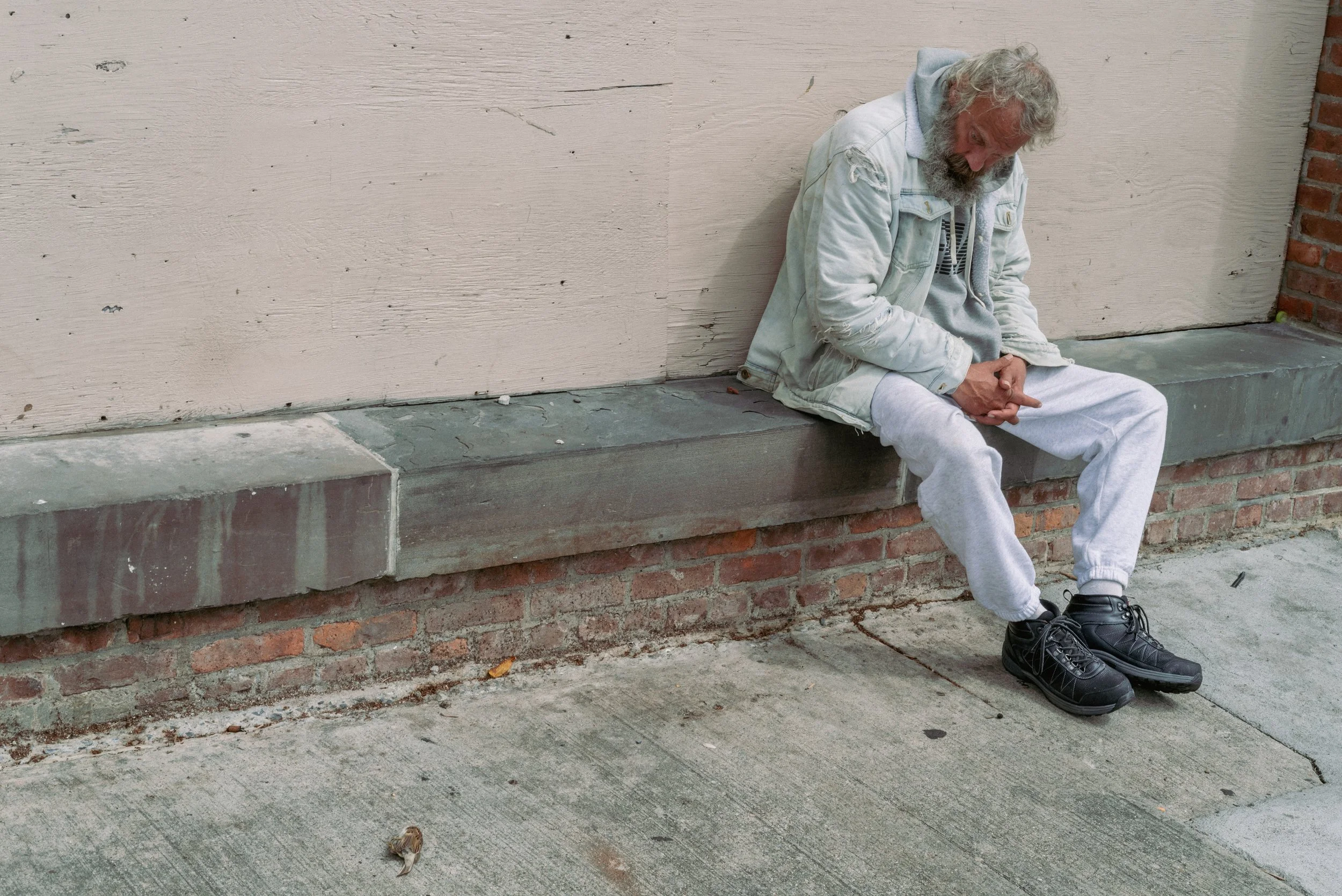 2025 Joe With Dead Bird 1 - Newburgh NY L.jpg