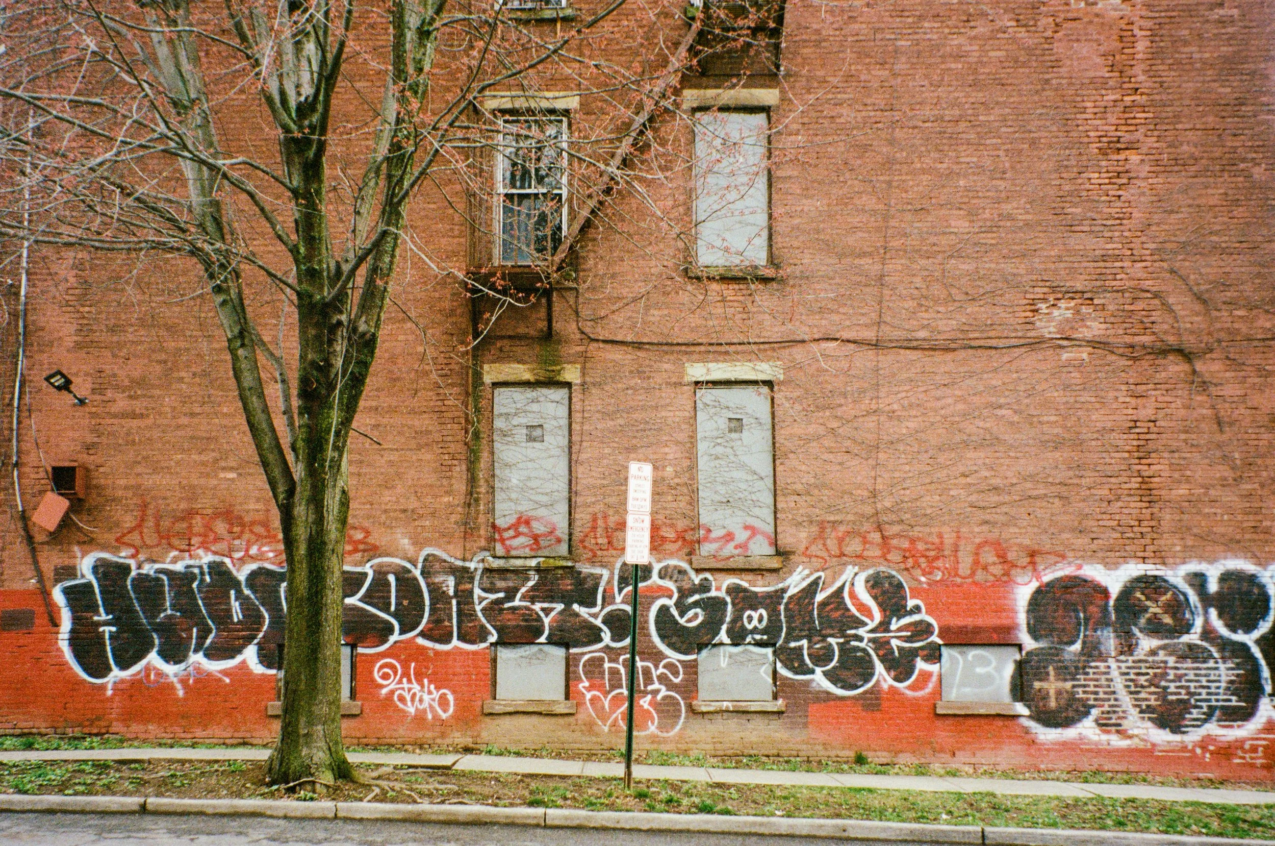 2025 Little Monument Street Graffiti - Newburgh NY Kodak Portra 400 L Cropped.jpg