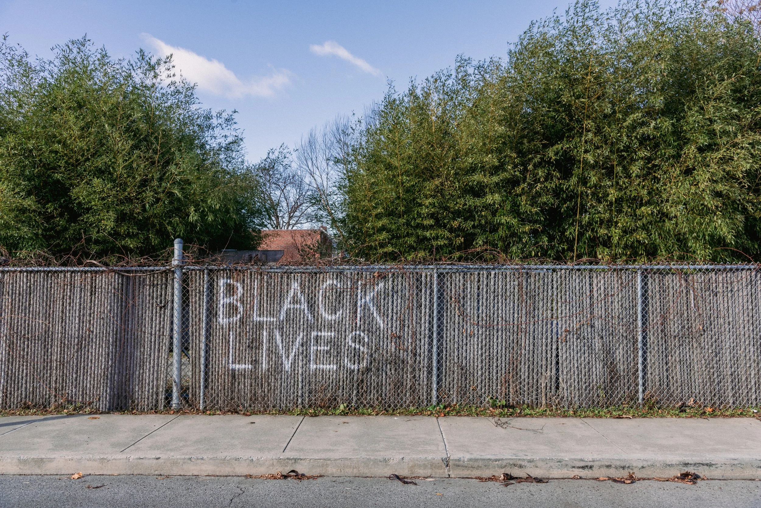 2020 Black Lives - Beacon NY L.jpg