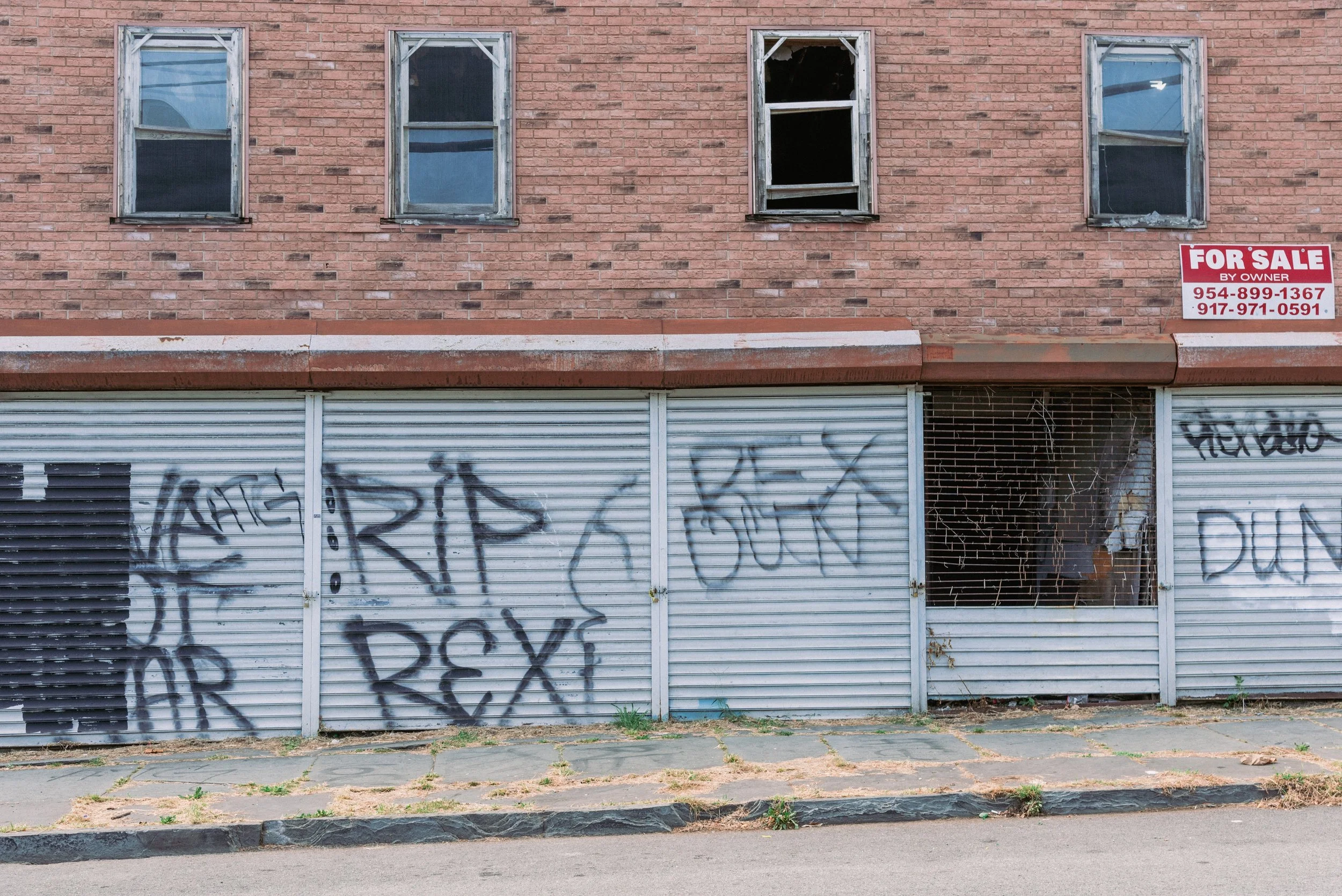 2020 RIP Rex - Newburgh NY L.jpg